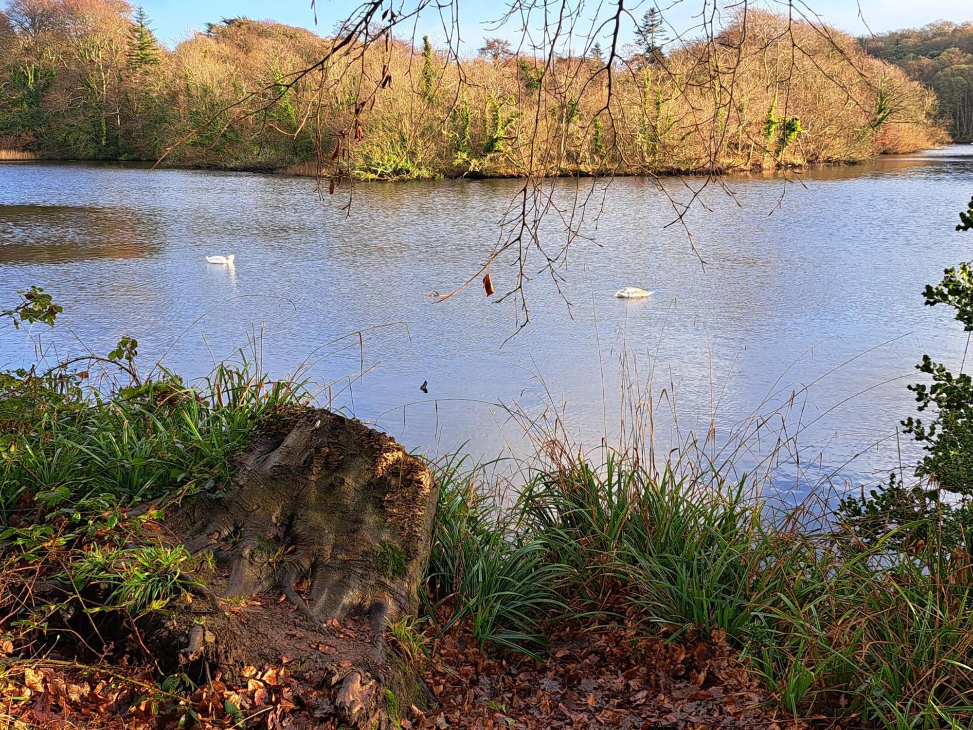 203 Harbour Mill Daire Westport Dış mekan fotoğraf